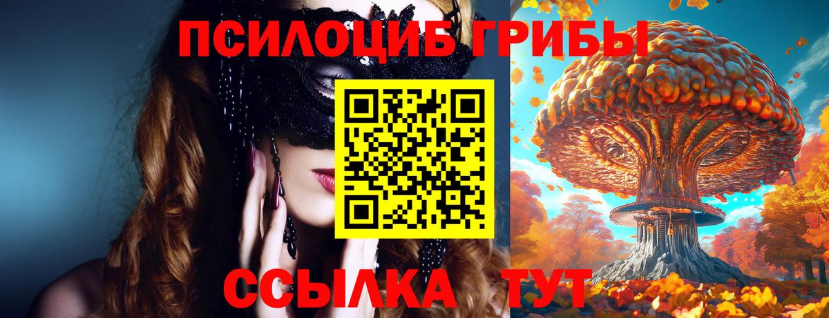 Галлюциногенные грибы прущие грибы Советск